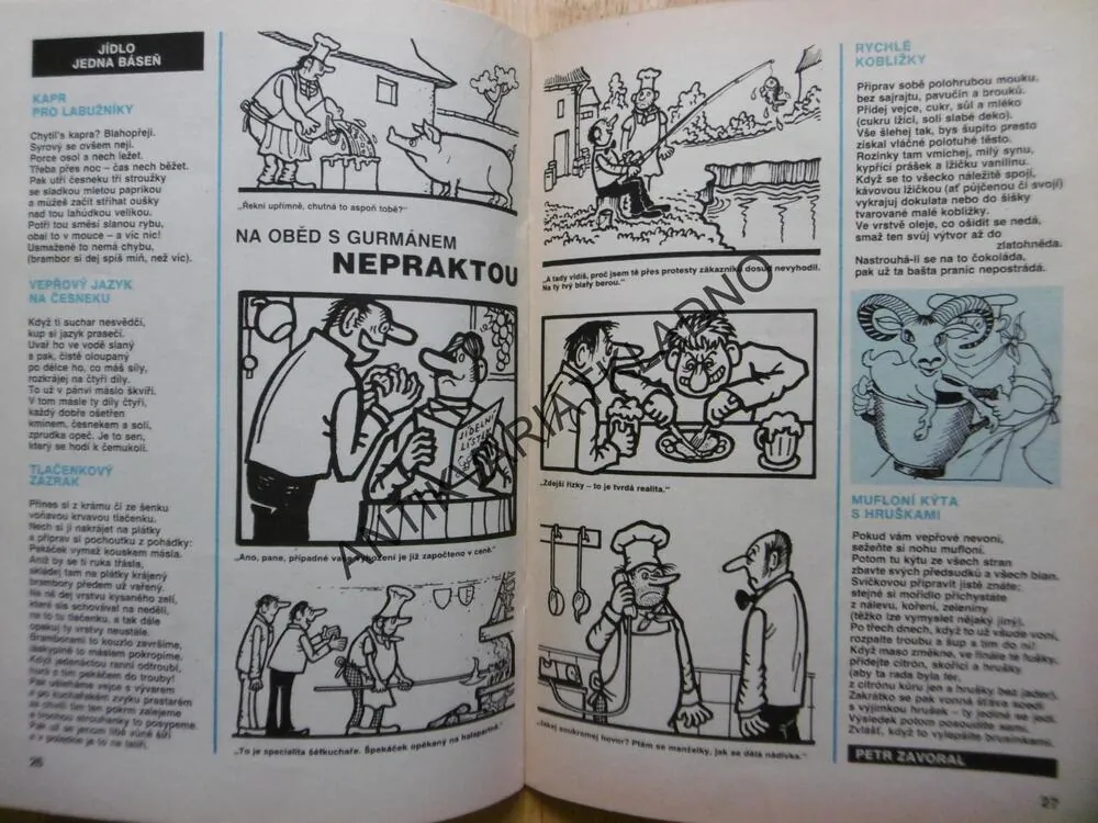 MAGAZÍN DIKOBRAZU, 2/93