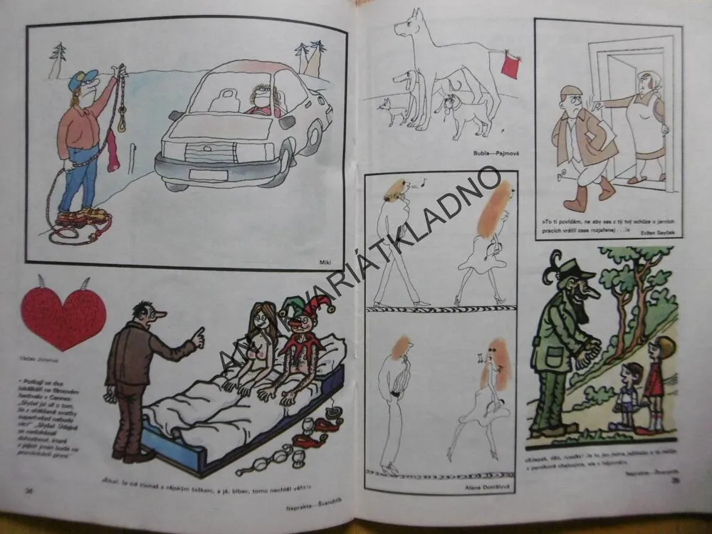 MAGAZÍN DIKOBRAZU, 1/85