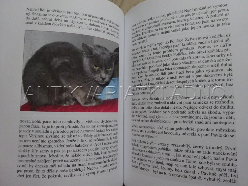 TO JE KOČKA, NAPSALA, MARKÉTA MATĚJKOVÁ, **an