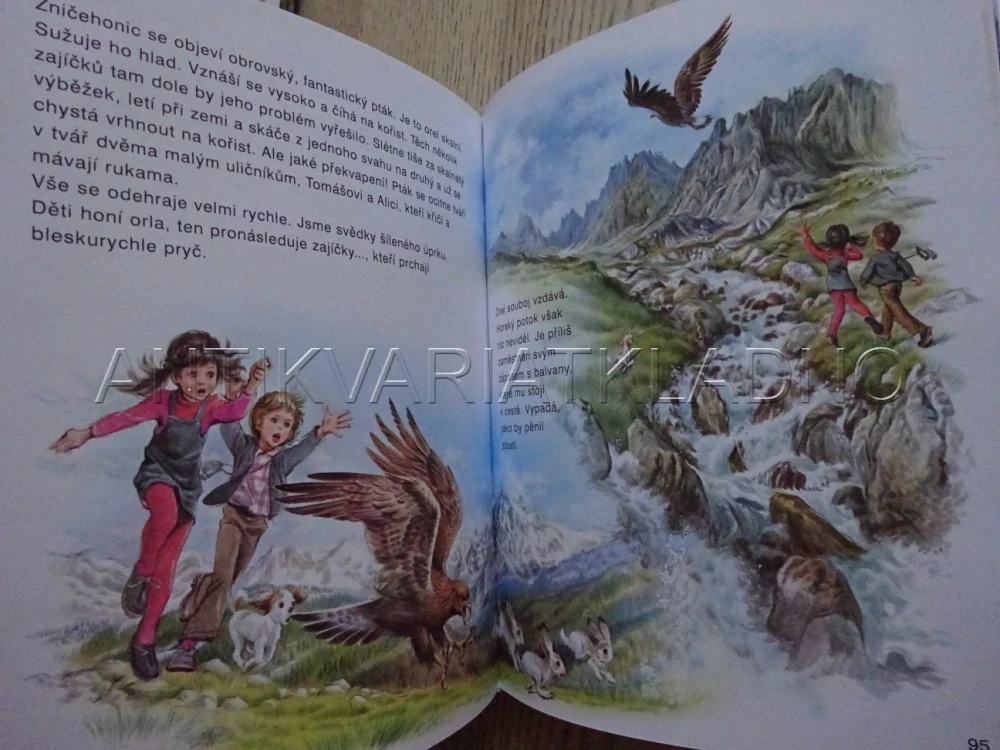 TOMÁŠ A ALICE NA CESTÁCH, **an