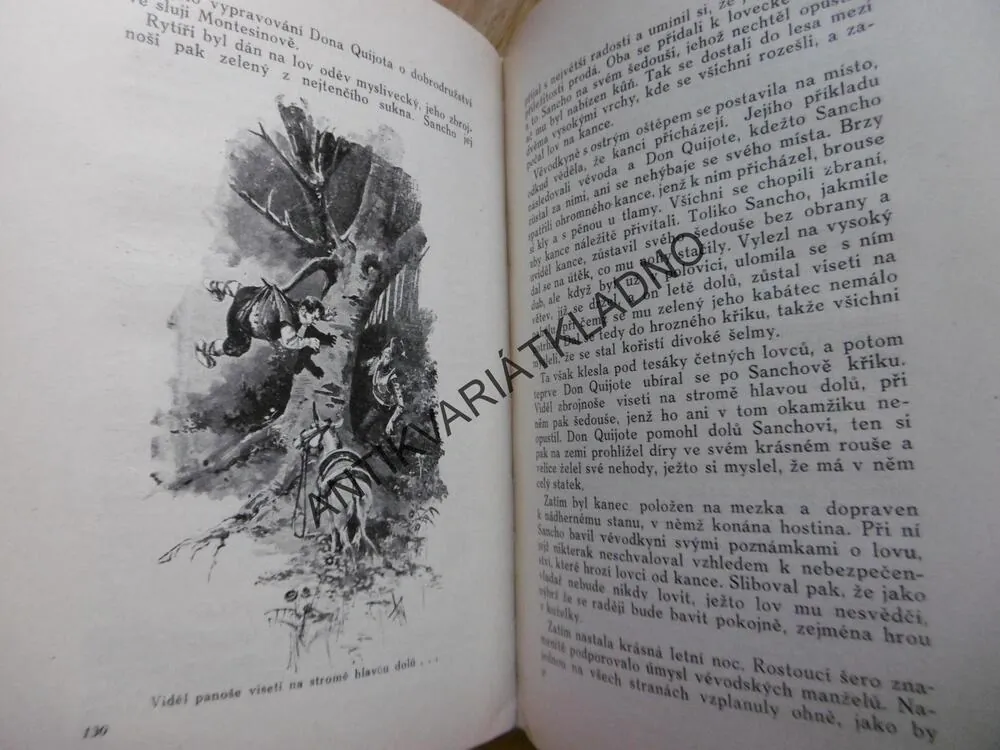 DON QUIJOTE DE LA MANCHA, CERVANTES DE SSAVEDRA