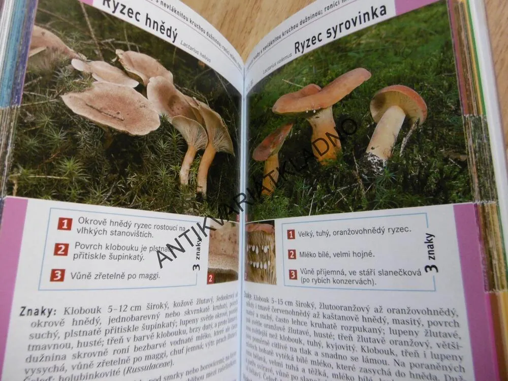 HOUBY, PRŮVODCE PŘÍRODOU, URČOVÁNÍ PODLE 3 ZNAKŮ, MYKOLOGIE, **an