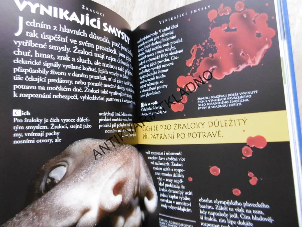 ŽRALOCI A JINÁ DĚSIVÁ MOŘSKÁ STVOŘENÍ, 