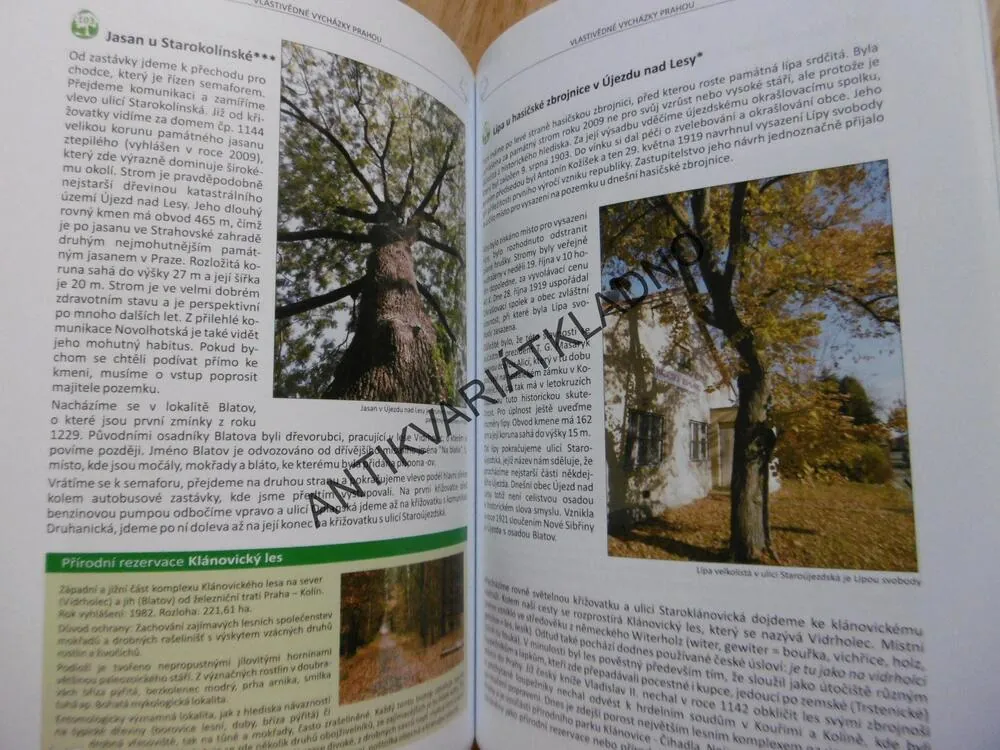 PAMÁTNÉ STROMY PRAHY, KYZLÍK, RUDL, **an