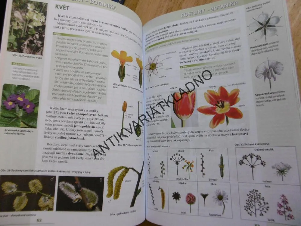 PŘÍRODOPIS 7. PRO ZŠ, ZOOLOGIE, BOTANIKA,