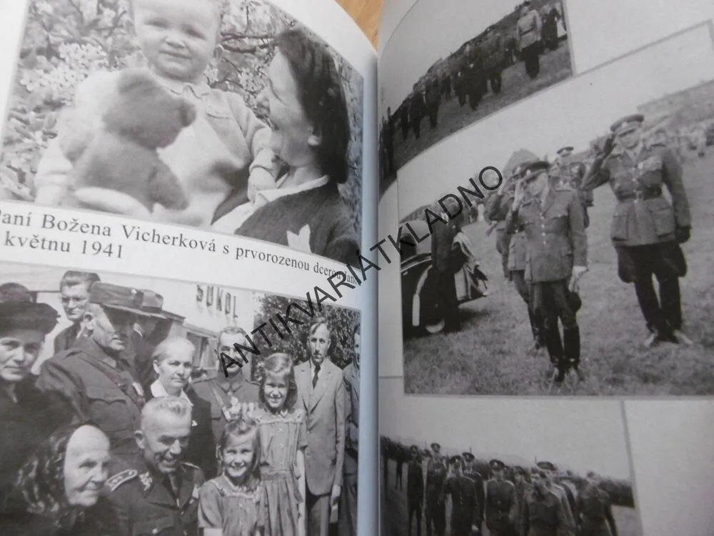 AGÓNIE SVĚDOMÍ, GENERÁL VICHEREK