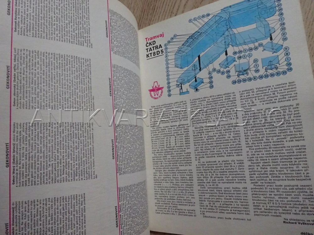 ABC, 13/1988