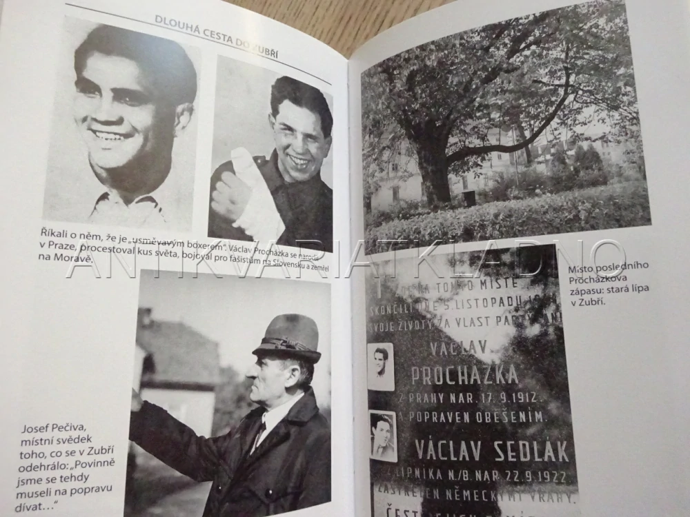 VAVŘÍNY PRO MRTVÉ VÍTĚZE, ROMAN CÍLEK, **an