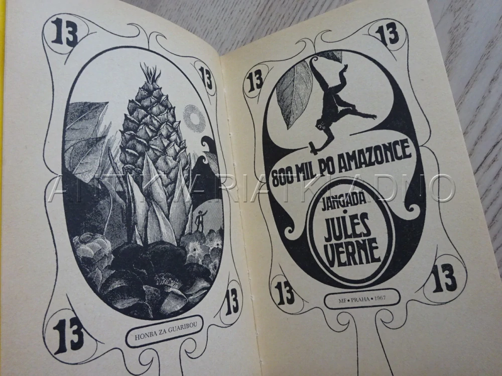 800 MIL PO AMAZONCE, JULES VERNE, **an