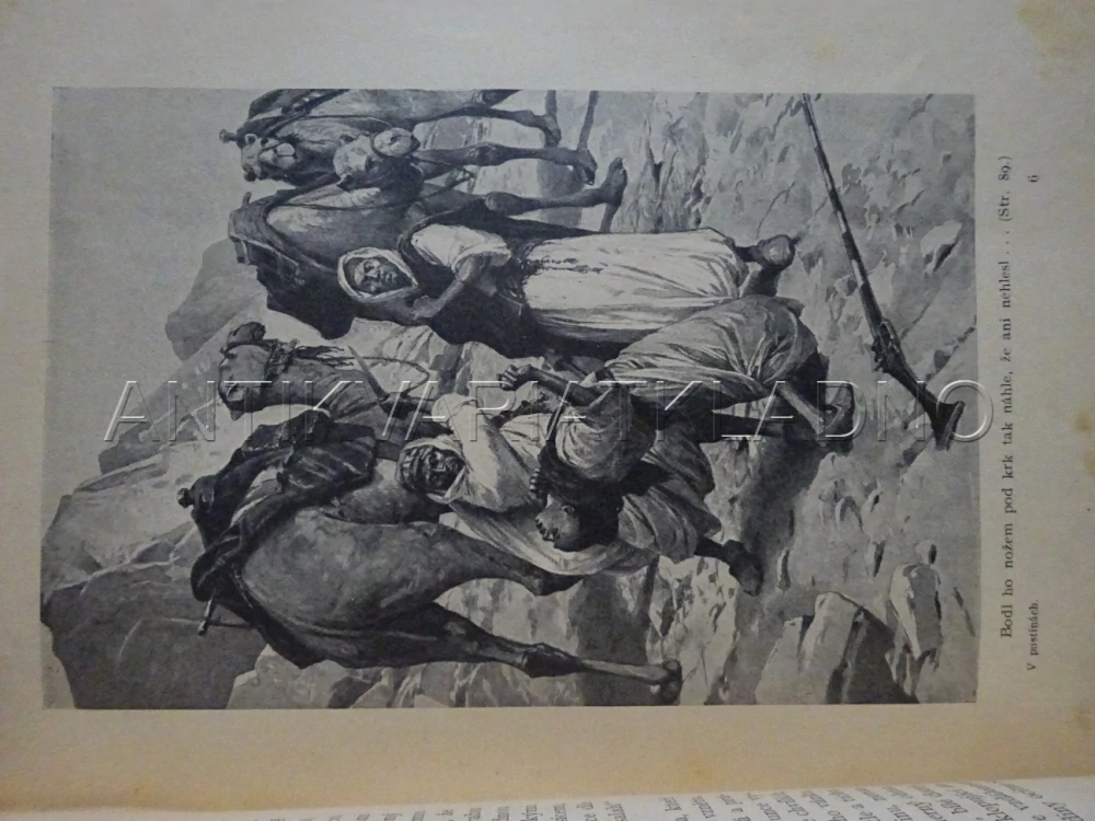 V PUSTINÁCH, HENRYK SIENKIEWICZ, **an