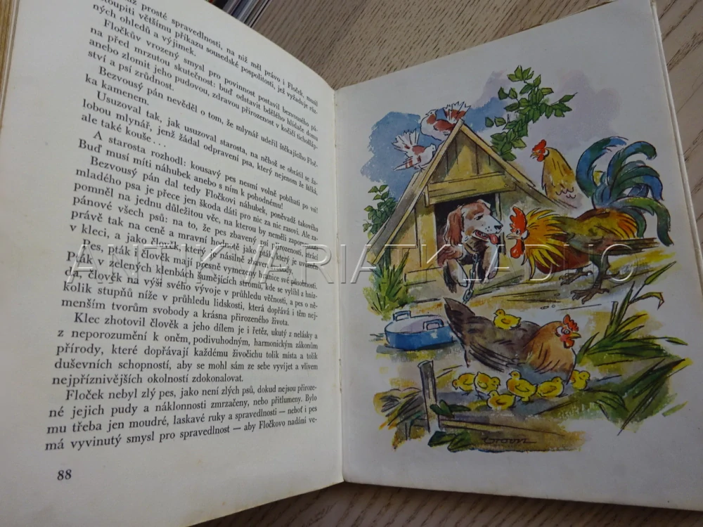 FLOČEK, PSÍ HISTORIE, JOS. HAIS TÝNECKÝ, FR. VROBEL, 1947, **an