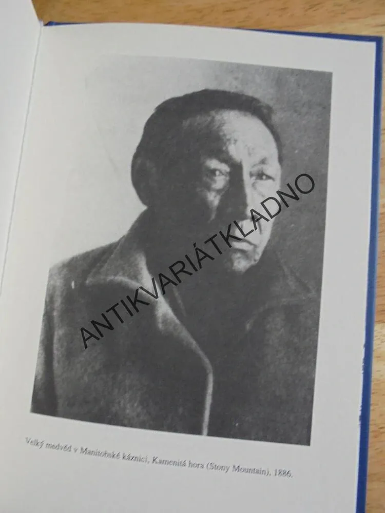 VÁBENÍ VELKÉHO MEDVĚDA, RUDY WIEBE, AMERIKA