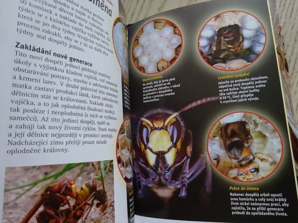 SRŠNĚ, NEBEZPEČNÁ ŽIHADLA, DVD FILM DOKUMENT