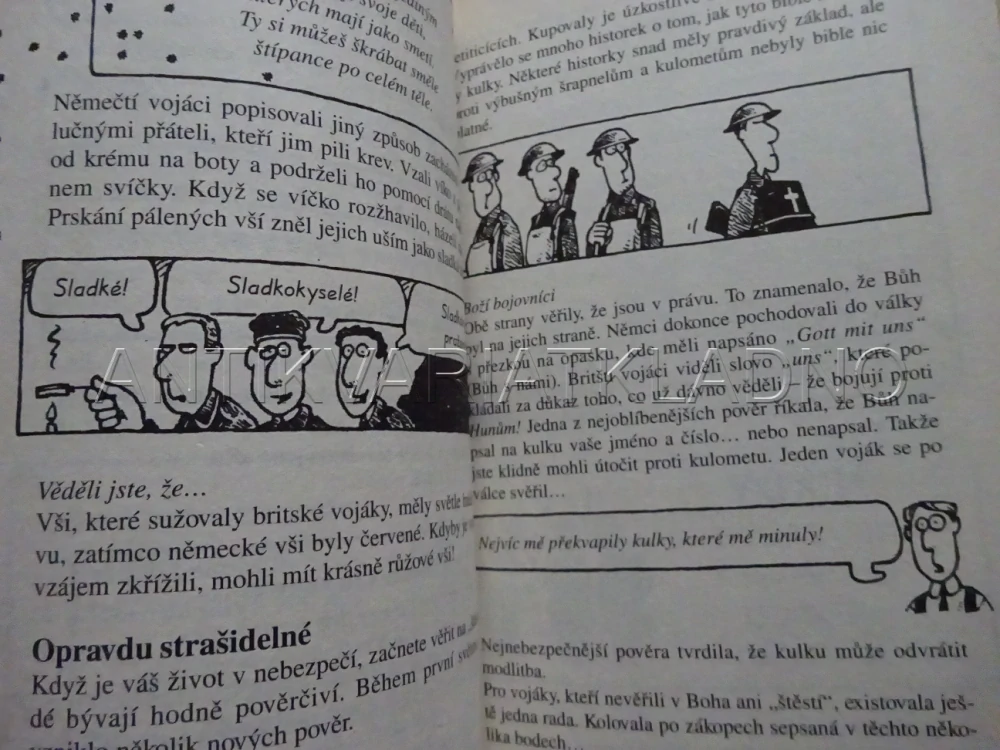 MIZERNÁ PRVNÍ SVĚTOVÁ VÁLKA, TERRY DEARY, MARTIN BROWN, **an