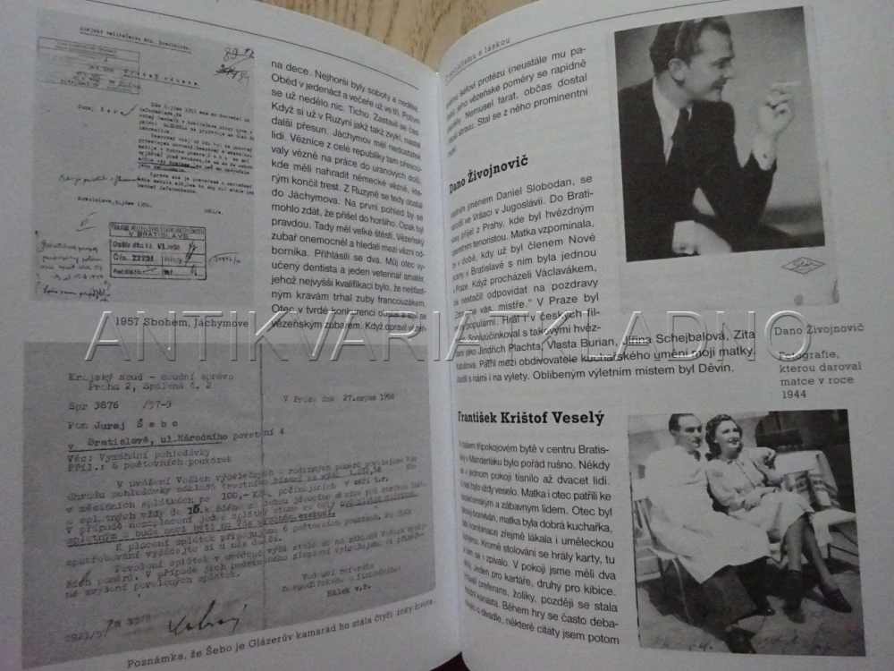 O SOCIALISMU S LÁSKOU, JURAJ ŠEBO, **an