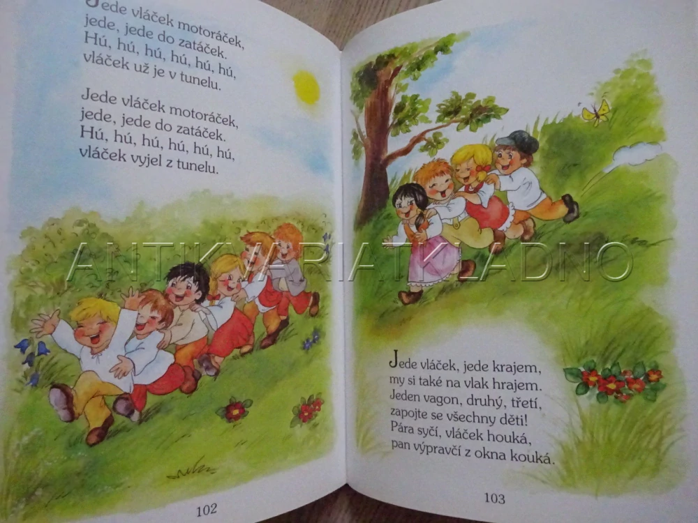 VELKÁ KNIHA ŘÍKADEL, VOPIČKOVÁ, **an