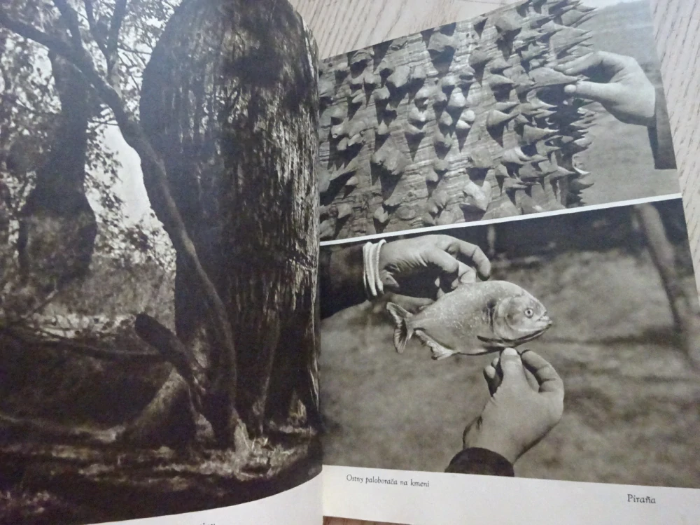 VELKÉ VODY IGUAZÚ, HANZELKA, ZIKMUND, ŽIVÉ PRAMENY Č. 31., **an