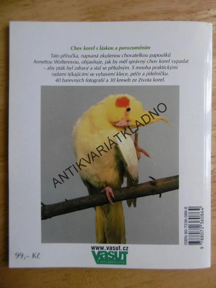 KORELY, JAK NA TO, PAPOUŠCI, **an
