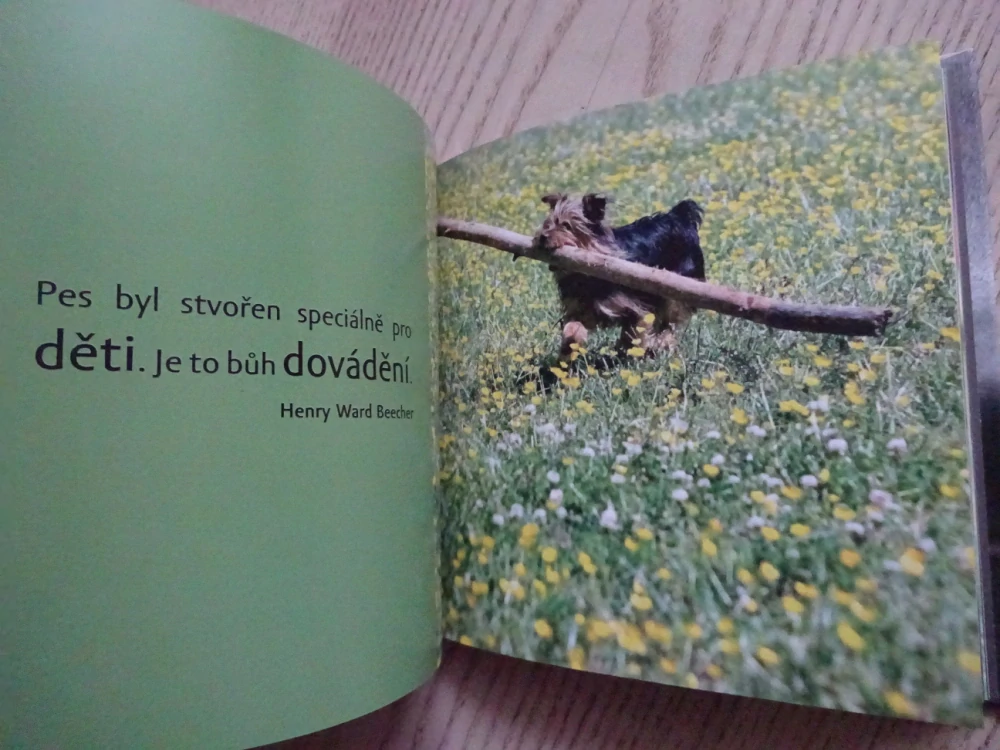 VÝROKY SLAVNÝCH O PSECH, MILLY BROWN,**an