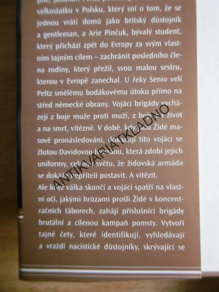 BRIGÁDA, PŘÍBĚH O ODVĚTĚ, SPASENÍ A DRUHÉ SVĚTOVÉ VÁLCE, HOWARD BLUM, **an