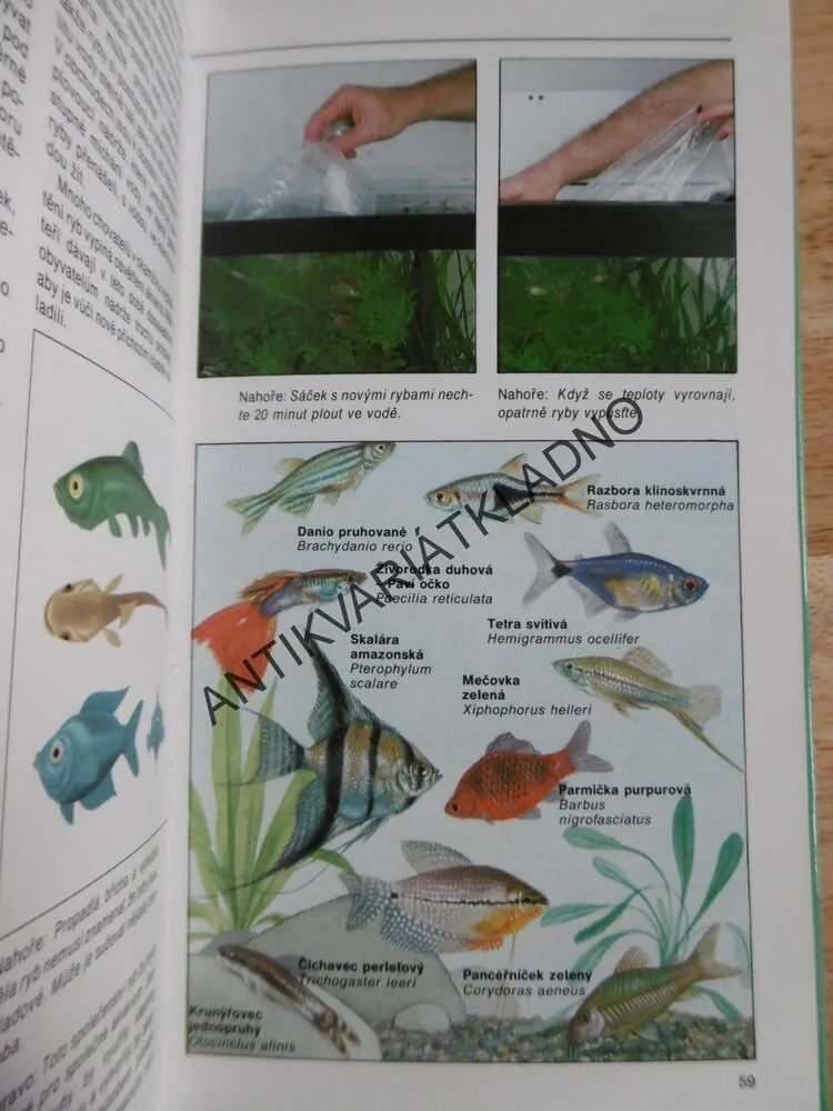 AKVÁRIUM, ILUSTROVANÁ PŘÍRUČKA PRO ZAČÍNAJÍCÍ AKVARISTY, DICK MILLS, **an