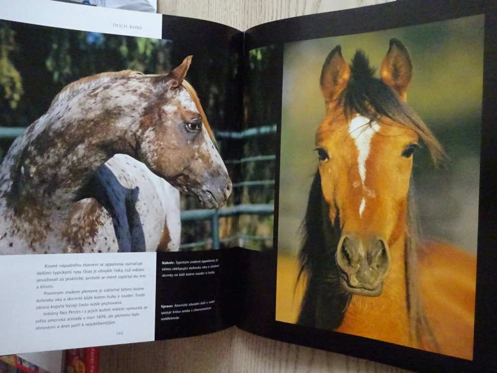 DUCH KONÍ, BOB LANGRISH, NICOLA JANE SWINNEYOVÁ, **an