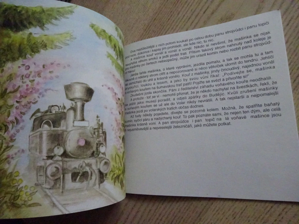 POHÁDKY ZE ŠUMAVSKÝCH LOKÁLEK, ROMAN KOZÁK, JELENA TESAŘOVÁ, **an