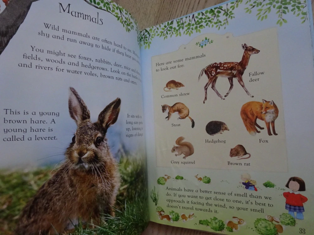FIRST NATURE BOOK, ANGLICKY, **an