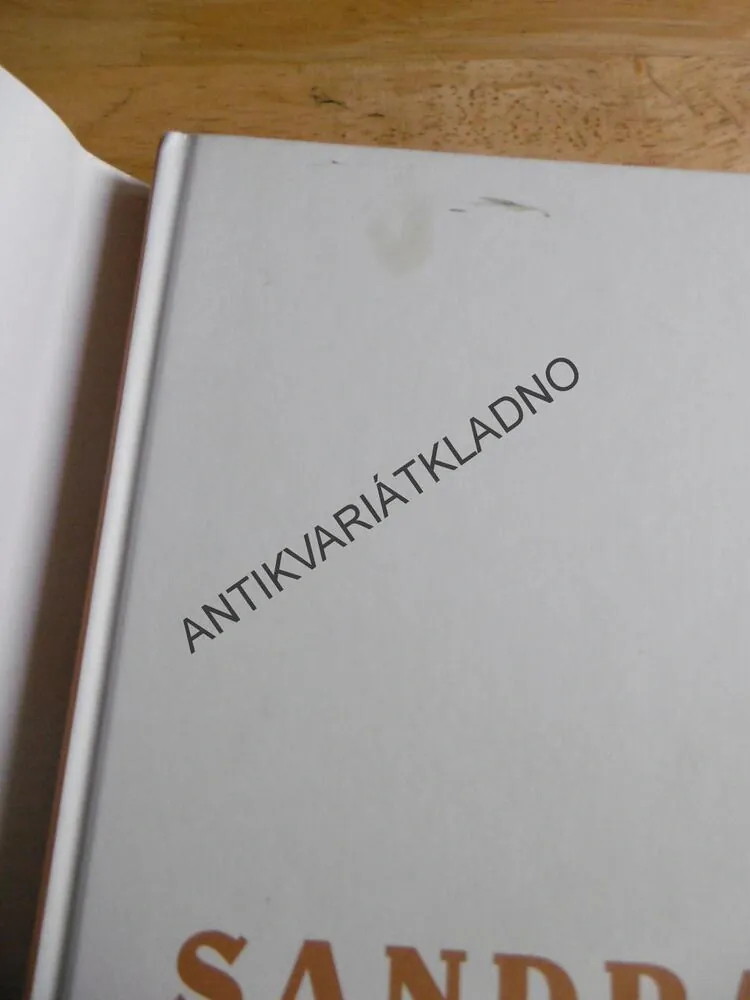 TICHÝ MUŽ, SANDRA BROWN, **an