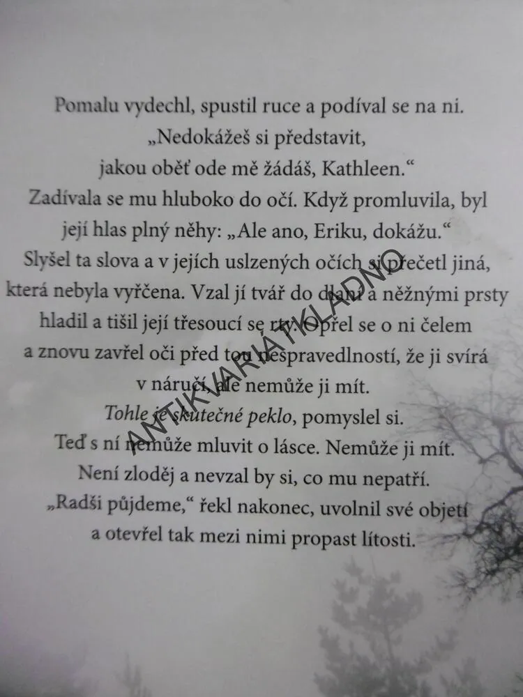 PAVUČINA Z HEDVÁBÍ, SANDRA BROWN, **an