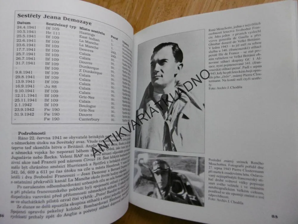CIZINCI V RAF, STÍHAČI Z OKUPOVANÉ EVROPY V BITVĚ O BRITÁNII, JAN MICHL