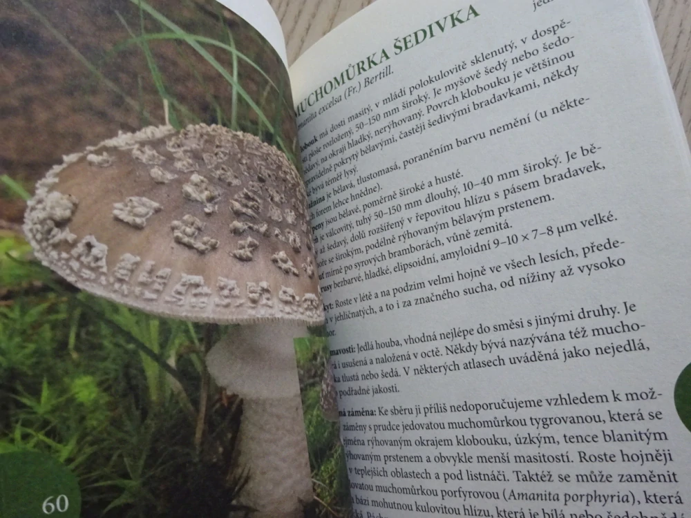 ATLAS HUB, HOUBY, LAŠTŮVKA, KUDLÁČEK, **an