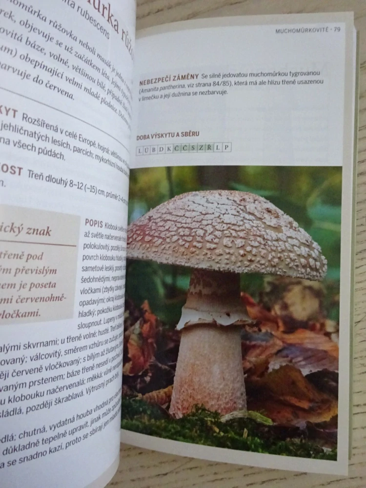 HOUBY, PRŮVODCE PŘÍRODOU, **an