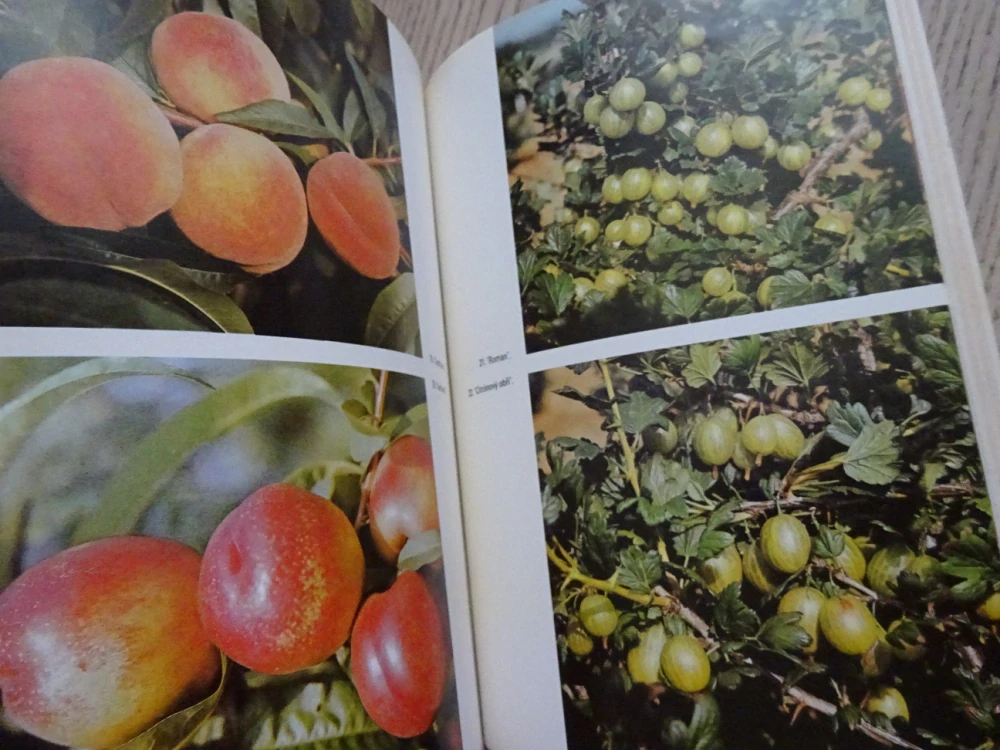 ŠKOLA OVOCNÁŘE, VLADIMÍR URBAN, **an