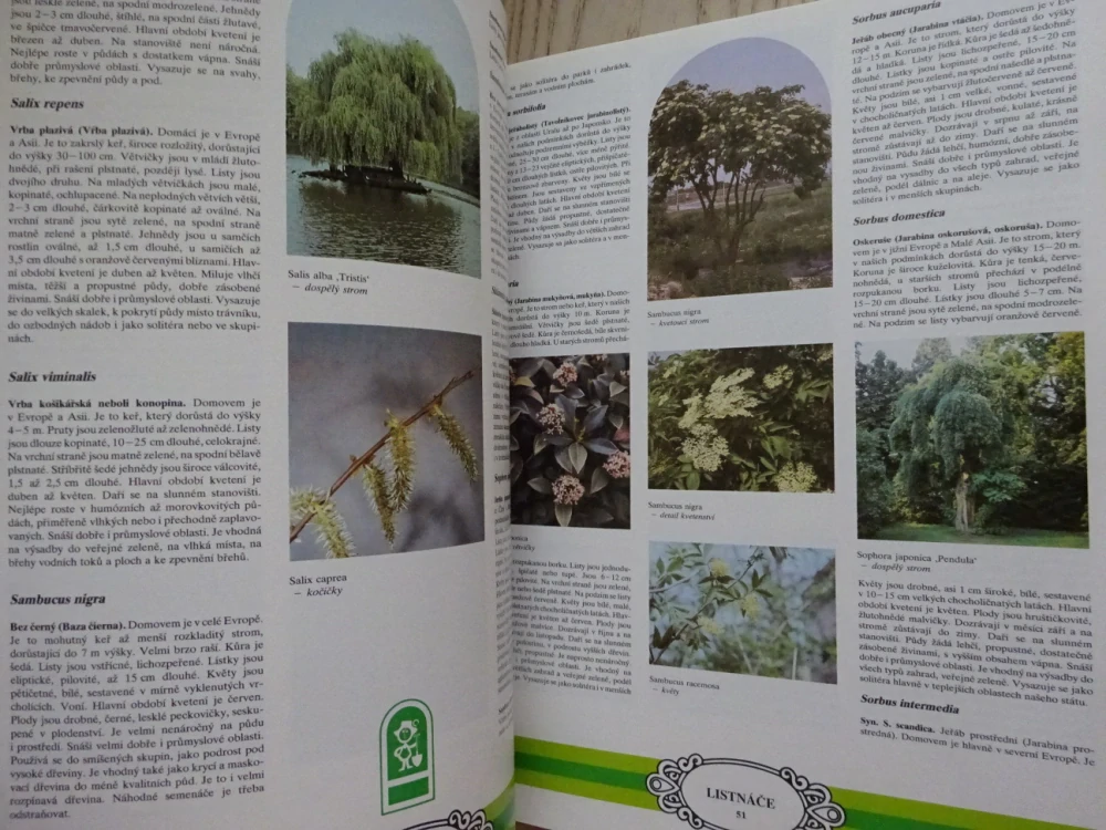KATALOG OKRASNÝCH DŘEVIN A RŮŽÍ, **an