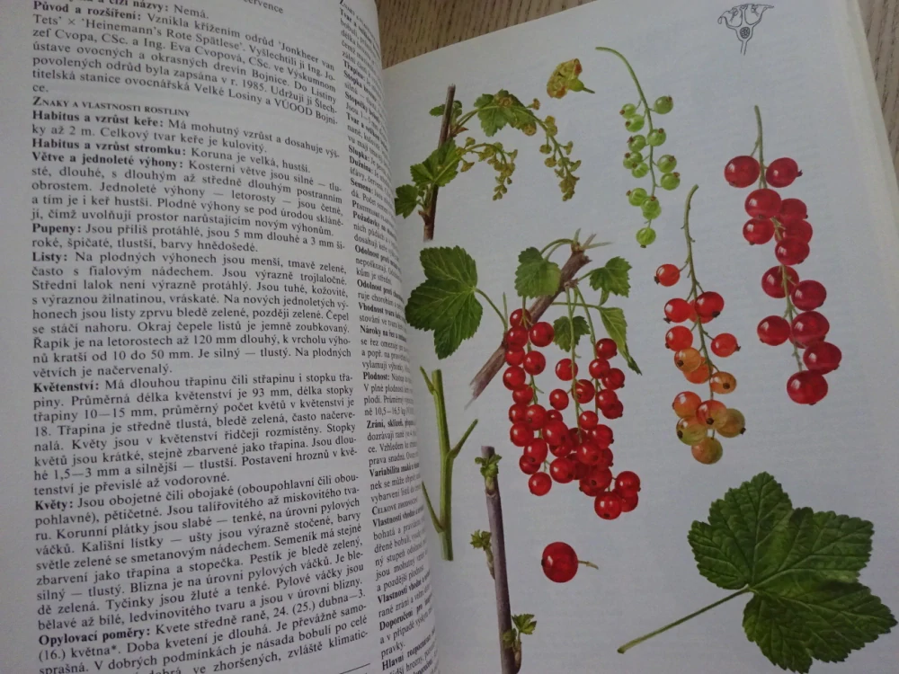 POMOLOGICKÝ ATLAS 2, JOSEF KUTINA A KOLEKTIV, **an