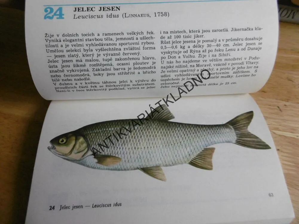 NAŠE RYBY, MIHÁLIK, REISER, **an