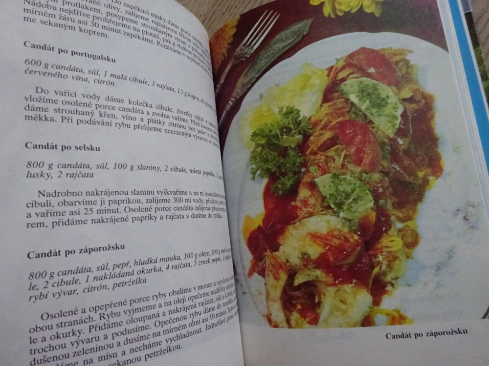 RYBÁŘSKÁ KUCHAŘKA, JIŘÍ KRÁČMAR, **an