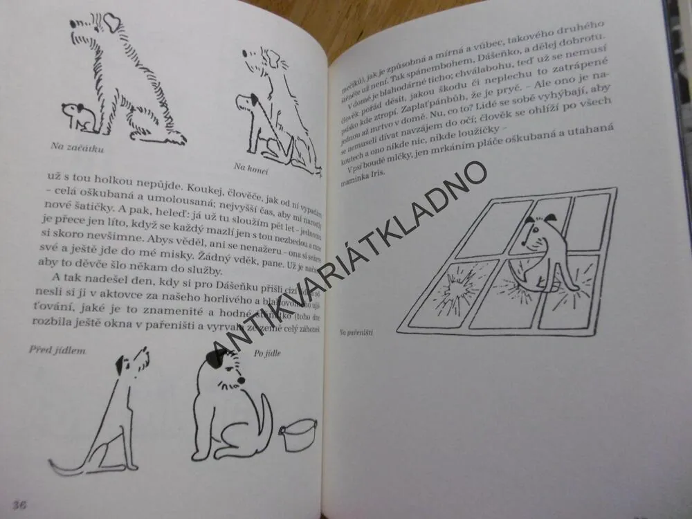 DÁŠENKA, ČILI ŽIVOT ŠTĚNĚTE, KAREL ČAPEK, **an