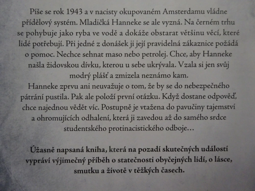 DÍVKA V MODRÉM PLÁŠTI, MONICA HESSEOVÁ, **an