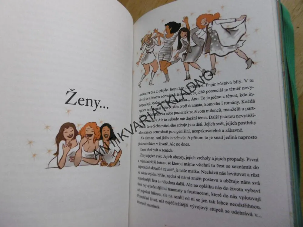 AŇA GEISLEROVÁ, P.S., **an