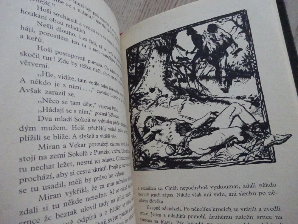 MINEHAVA, EDUARD ŠTORCH, **an