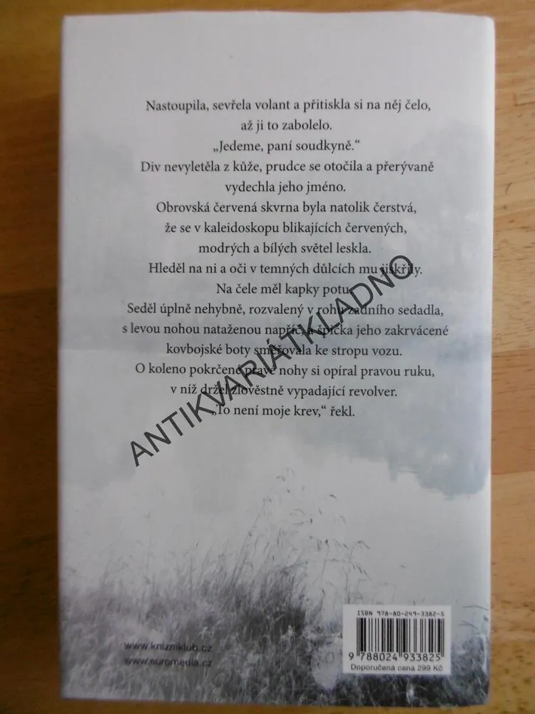 POMSTA, SANDRA BROWN, BESTSELLER 2017, **an