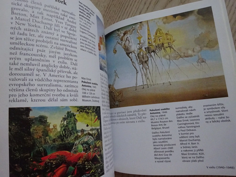 DALÍ, MALÝ UMĚLECKÝ PRŮVODCE, **an