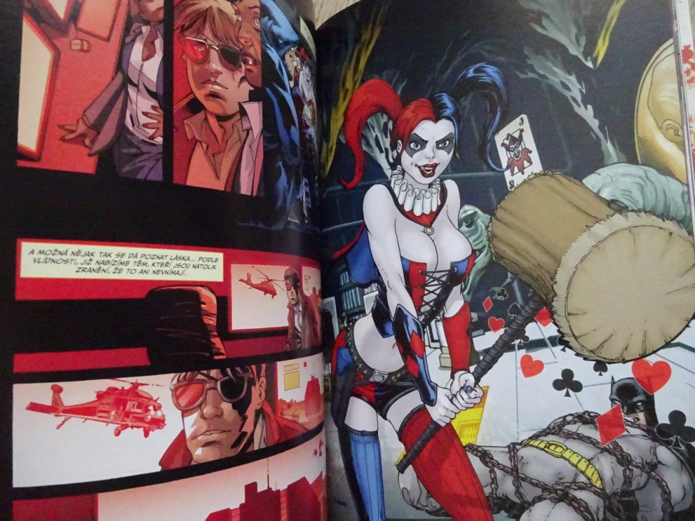 SEBEVRAŽEDNÝ ODDÍL, VÝCHOVA A TREST, KOMIKS DC COMICS, **an