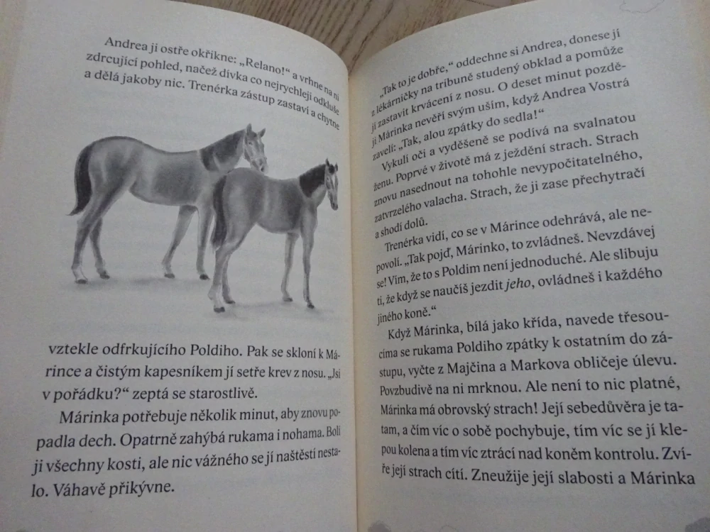 ZVÍŘECÍ NEMOCNICE, ZTRACENÉ HŘÍBÁTKO, TATJANA GESLEROVÁ, **an