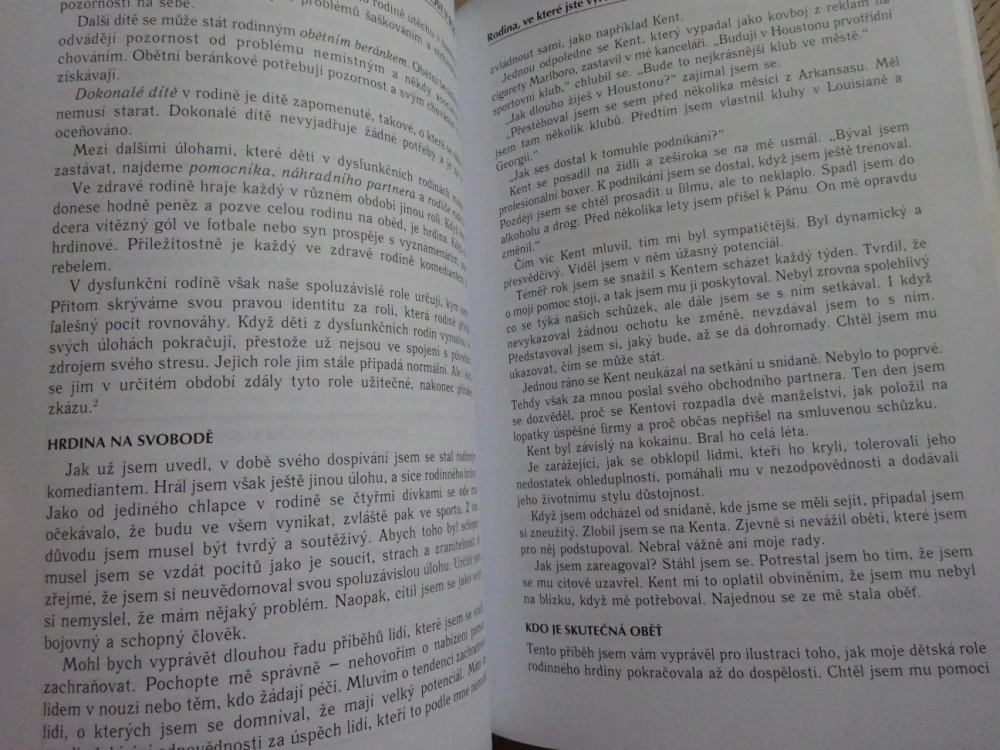 MUŽI A SEXUÁLNÍ POKUŠENÍ, BILL PERKINS, **an