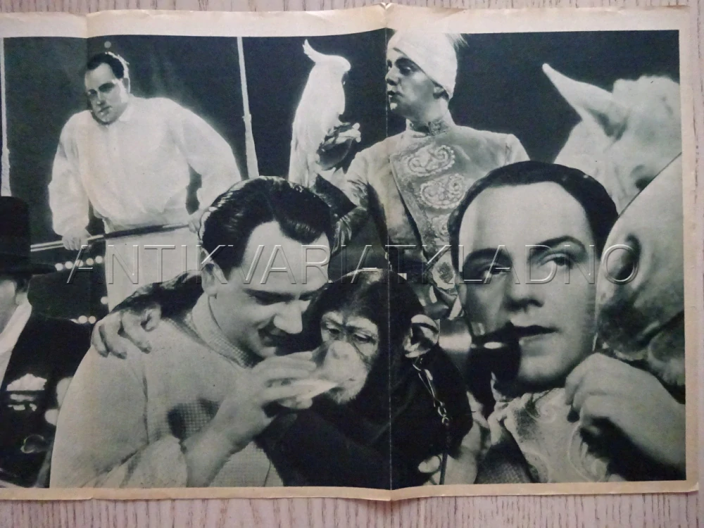 ARTISTÉ, H. PIEL, BIO PROGRAM Č. 242, 1935