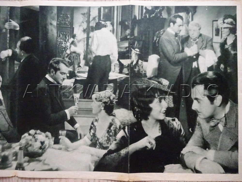 DENÍK MILENKY, H. JARAY, BIO PROGRAM Č. 310, 1935