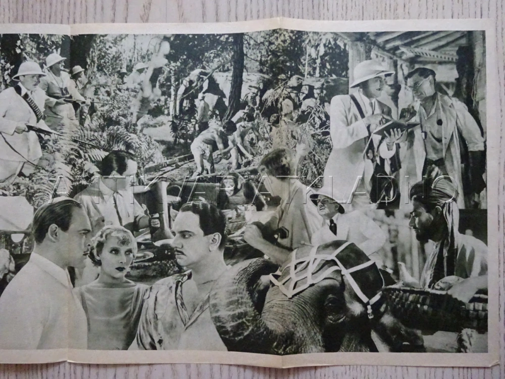 DIVOKÁ KOČKA, H. PIEL, BIO PROGRAM Č. 335, 1936